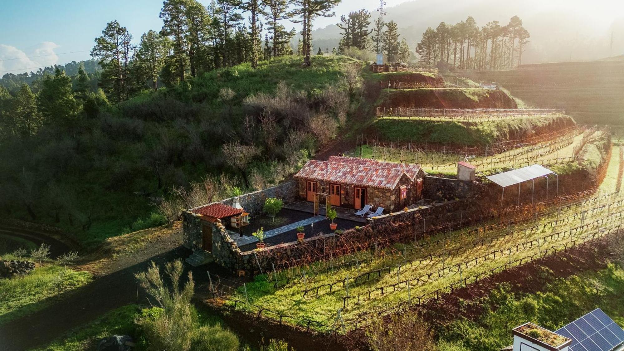 Finca Hortensia El Castillo  Екстер'єр фото